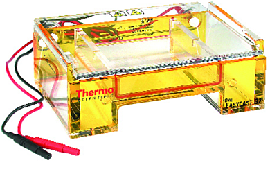 Popular Owl EasyCast B2 Mini-Gel Horizontal Electrophoresis System with an 800 ml capacity includes a UVT gel tray, two combs and power supply  |  1017-03 displayed