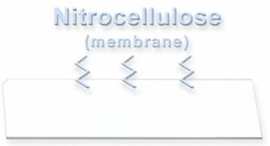 All substrate slides are compatible with a variety of Arrayit instruments, tools and consummables  |  3031-76-S displayed