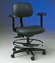 Ergonomic Chair with Armrests